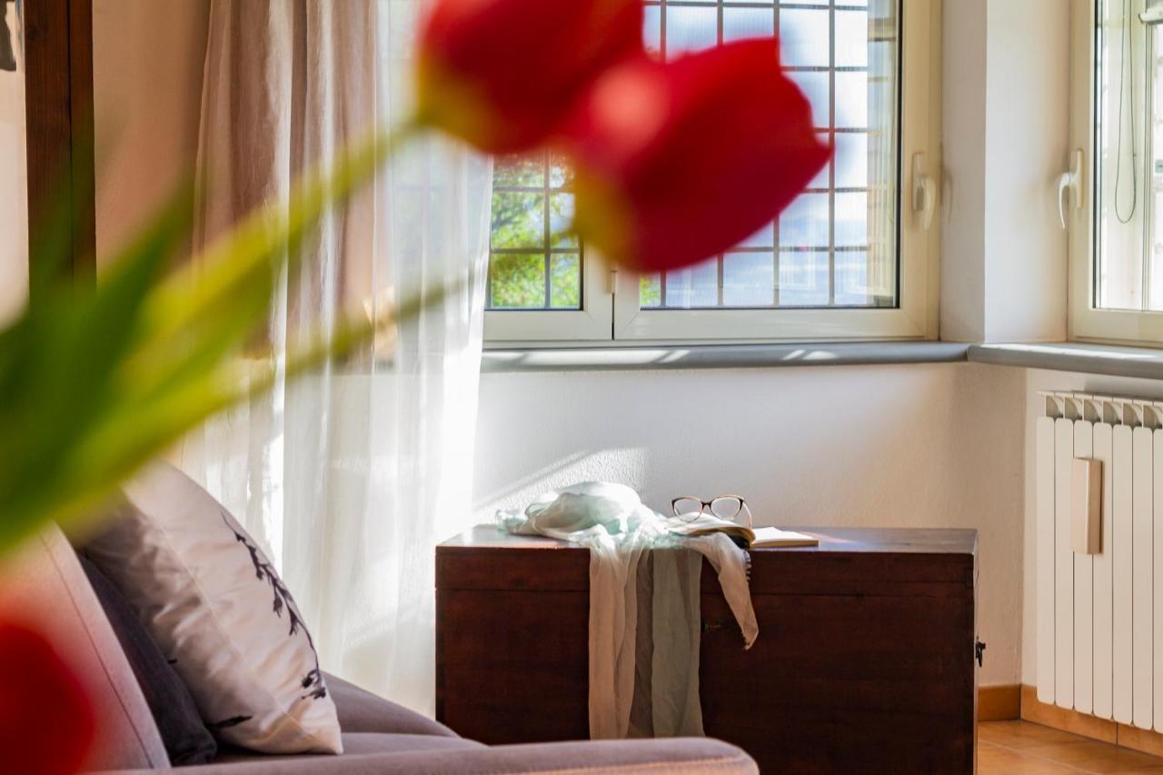 Casale Le Brecce B&B 奥特里科利 外观 照片