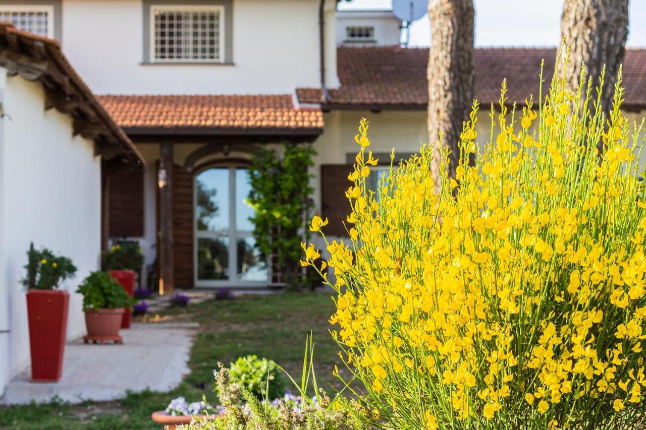 Casale Le Brecce B&B 奥特里科利 外观 照片
